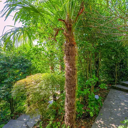 Appartement Casa Cora Agra