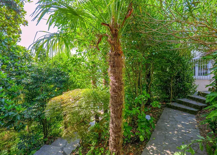 Apartament Casa Cora *